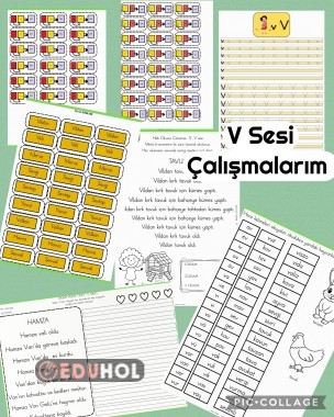 V Sesi Çalışmalarım