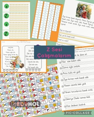 Z sesi Çalışmalarım