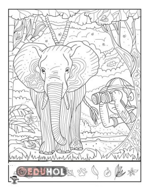 gizli nesneleri bulma