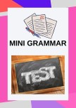Mini Grammar test