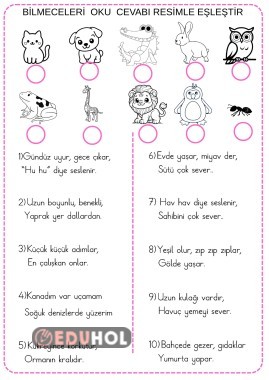 BİLMECE ETKİNLİĞİ