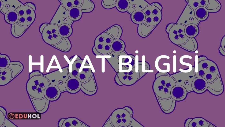 HAYAT BİLGİSİ