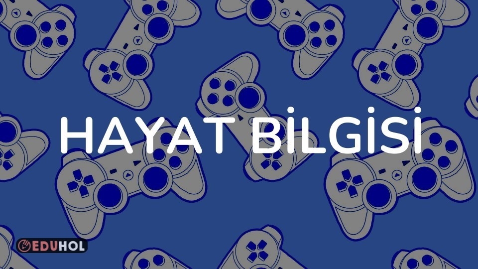 HAYAT BİLGİSİ