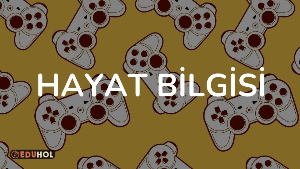 HAYAT BİLGİSİ
