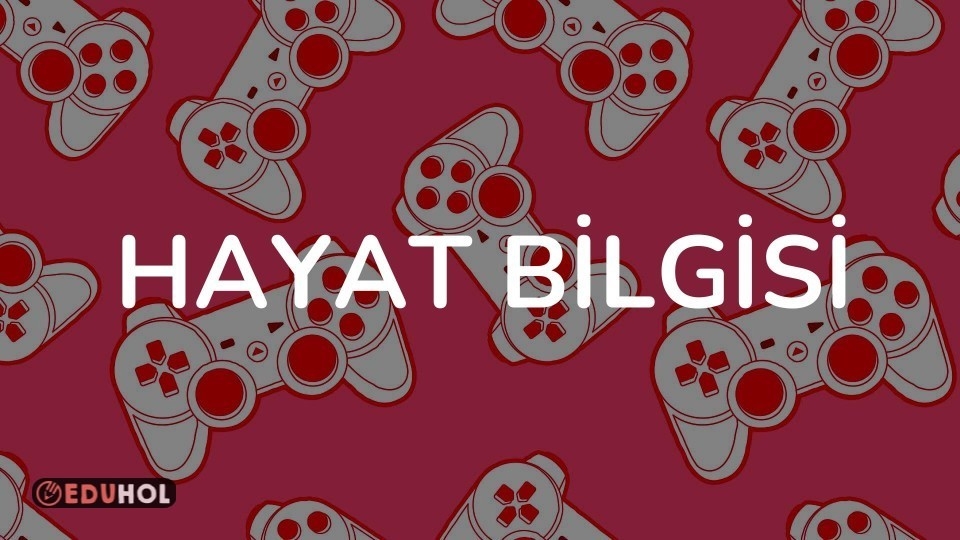 HAYAT BİLGİSİ