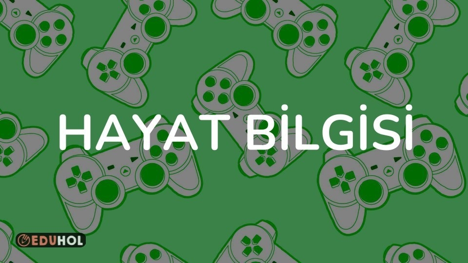 HAYAT BİLGİSİ