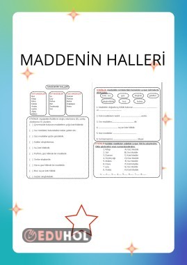 MADDENİN HALLERİ  PEKİŞTİRME ÇALIŞMASI