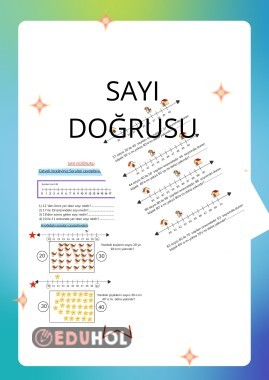 SAYI DOĞRUSU