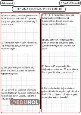 ZORLAYICI PROBLEMLER