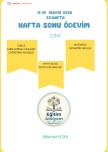 32.Hafta ödevim