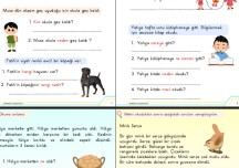 Okuduğunu anlama (5N 1K)