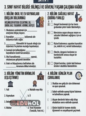 3.sinif hayat bilgisi değerlendirme çalışması