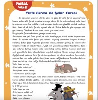 Masal okuma - değerlendirme soruları