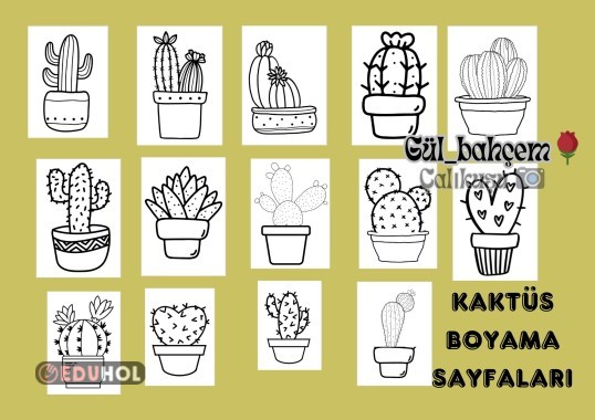 Kaktüs sevenler ;) Boyama sayfaları geldi
