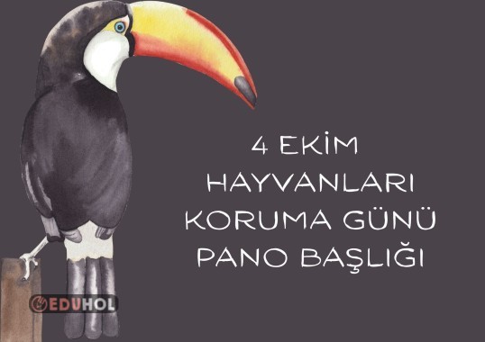 4 EKİM HAYVANLARI KORUMA GÜNÜ PANO BAŞLIĞI
