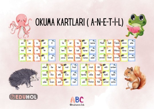 OKUMA KARTLARI ( A-N-E-T-İ-L)