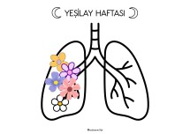 YEŞİLAY HAFTASI KES YAPIŞTIR