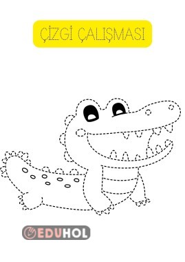 TİMSAH ÇİZGİ ÇALIŞMASI