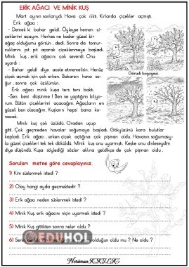 ERİK AĞACI VE MİNİK KUŞ-Okuma-Anlama