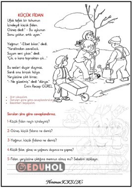 KÜÇÜK FİDAN-Şiir-Okuma anlama