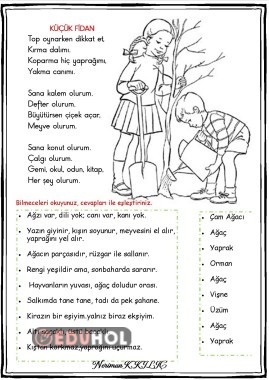 KÜÇÜK FİDAN şiiri- Bilmeceler