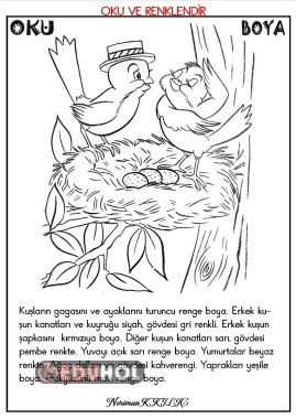 OKU VE RENKLENDİR-3