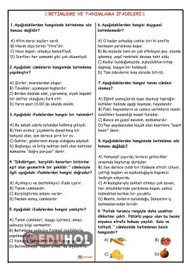 4. SINIF TÜRKÇE BETİMLEME VE TANIMLAMA İFADELERİ TESTİ