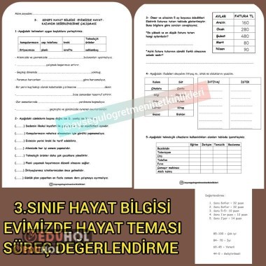 3.sınıf Hayat Bilgisi Evimizde Hayat Tema Değerlendirme