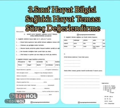 3.Snf Hayat Bilgisi Sağlıklı Hayat Tema Değerlendirme