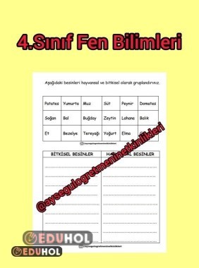 4.Sınıf Fen B. Bitkisel ve Hayvansal Besinler Etkinlik