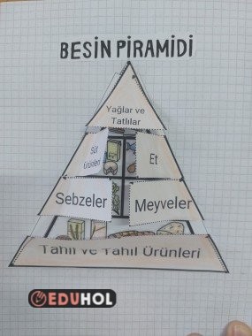 Besin Piramidi İnteraktif Defter Çalışması