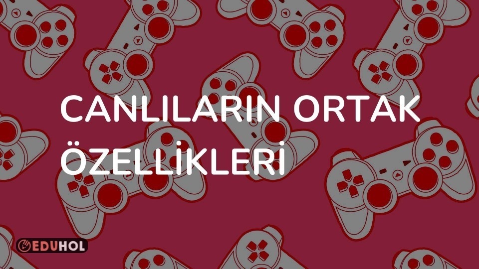 CANLILARIN ORTAK ÖZELLİKLERİ