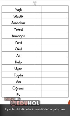 Eş Anlamlı Kelimeler İnteraktif