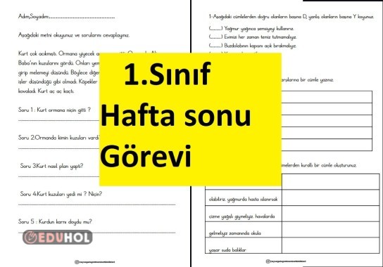 Hafta Sonu Görevi