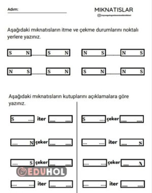 Mıknatısların Kuvveti