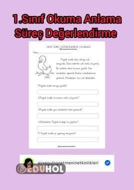 Okuma Anlama Süreç Değerlendirme (Paytak Ördek)