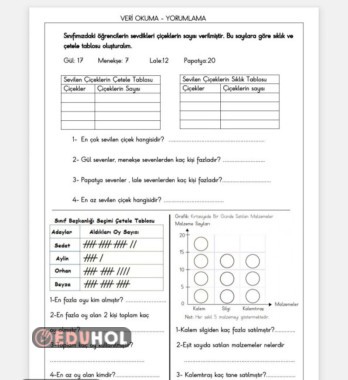 Veri Okuma ve Yorumlama Etkinliği