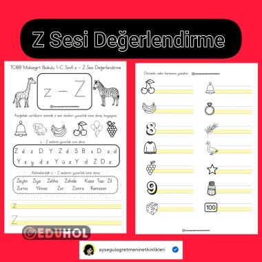 Z Sesi Değerlendirme