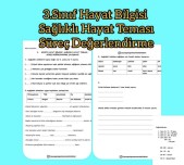 3.Sınıf Hayat Bilgisi Sağlıklı Hayat Süreç Değerlendirme