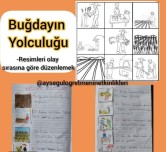 3.sınıf Türkçe Buğdayın Yolculuğu
