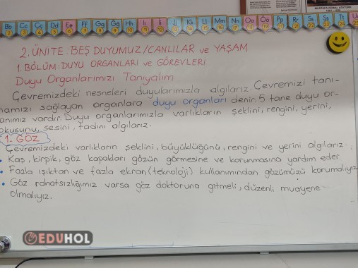 Duyu organlarımızı tanıyalım ders notu