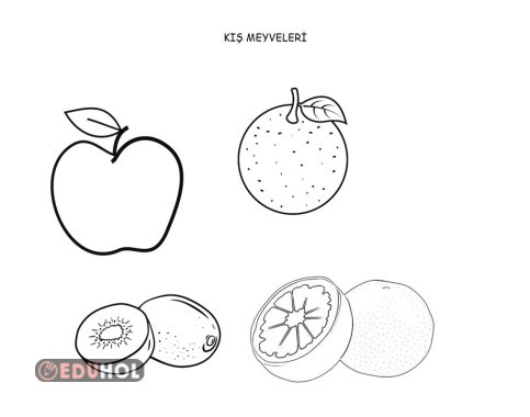 Kış Meyveleri Türkçe okuma metni etkinliği