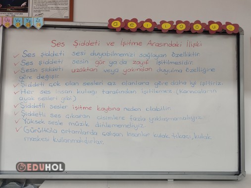 Ses şiddeti ve işitme arasındaki ilişki ders notu
