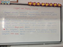 Doğal ve yapay çevre ders notu