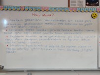 Hangi meslek? ders notu