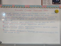 Kuvvetin cisimler üzerindeki etkisi ders notu