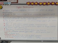 Sağlıklı besleniyorum ders notu