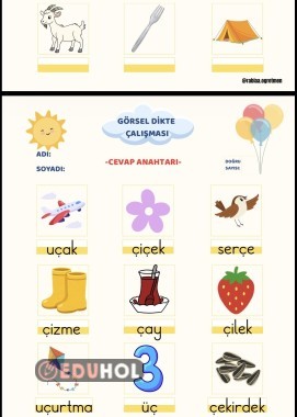 Ç SESİ GÖRSEL DİKTE ÇALIŞMASI