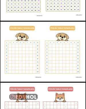 KURBAĞALI YÜZLÜK TABLO VE YÜZLÜK TABLO TAMAMLAMA - A5 BOY