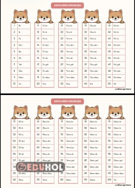 Sayıların Okunuşu (1-100)